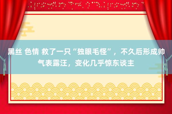 黑丝 色情 救了一只“独眼毛怪”，不久后形成帅气表露汪，变化几乎惊东谈主