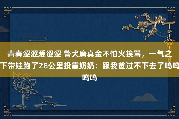 青春涩涩爱涩涩 警犬磨真金不怕火挨骂，一气之下带娃跑了28公里投靠奶奶：跟我爸过不下去了呜呜