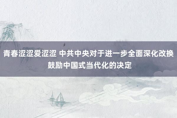 青春涩涩爱涩涩 中共中央对于进一步全面深化改换 鼓励中国式当代化的决定