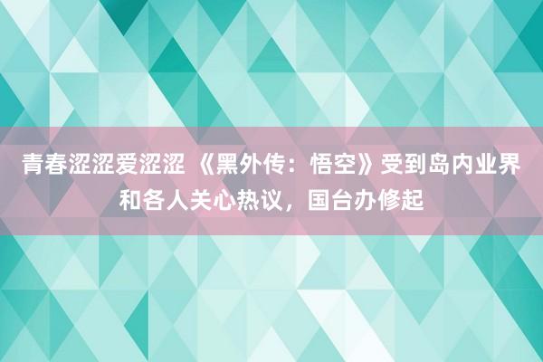 青春涩涩爱涩涩 《黑外传：悟空》受到岛内业界和各人关心热议，国台办修起