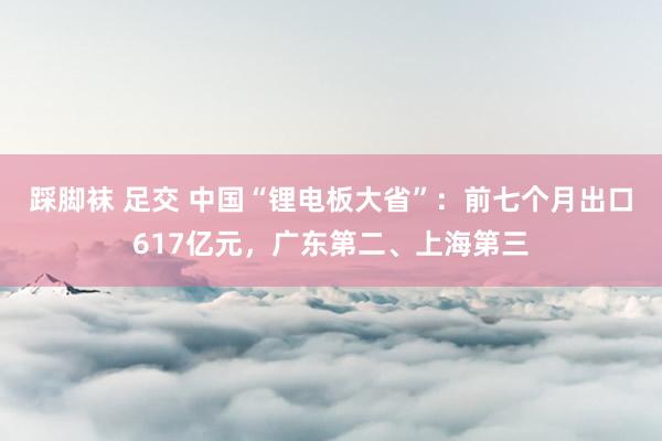 踩脚袜 足交 中国“锂电板大省”：前七个月出口617亿元，广东第二、上海第三