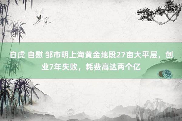 白虎 自慰 邹市明上海黄金地段27亩大平层，创业7年失败，耗费高达两个亿