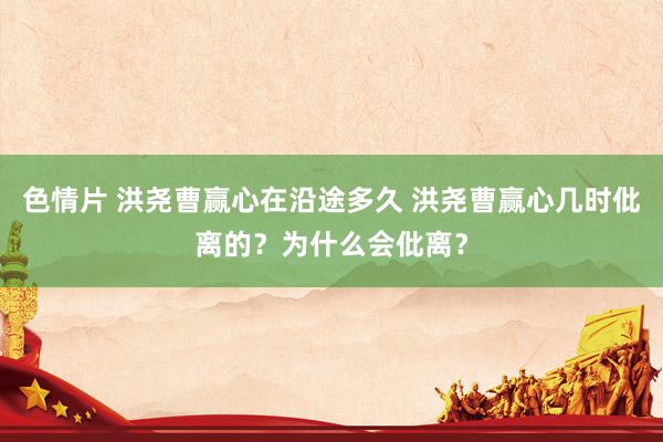 色情片 洪尧曹赢心在沿途多久 洪尧曹赢心几时仳离的？为什么会仳离？