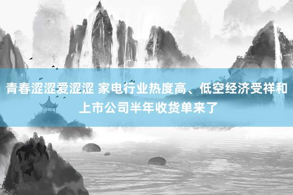 青春涩涩爱涩涩 家电行业热度高、低空经济受祥和 上市公司半年收货单来了