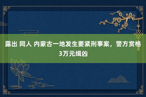 露出 同人 内蒙古一地发生要紧刑事案，警方赏格3万元缉凶