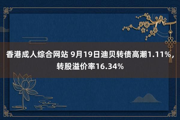 香港成人综合网站 9月19日迪贝转债高潮1.11%，转股溢价率16.34%