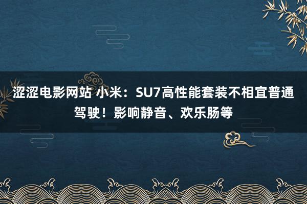 涩涩电影网站 小米：SU7高性能套装不相宜普通驾驶！影响静音、欢乐肠等