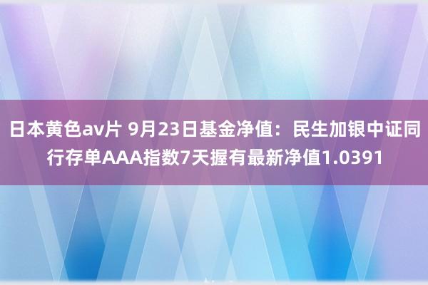 日本黄色av片 9月23日基金净值：民生加银中证同行存单AAA指数7天握有最新净值1.0391