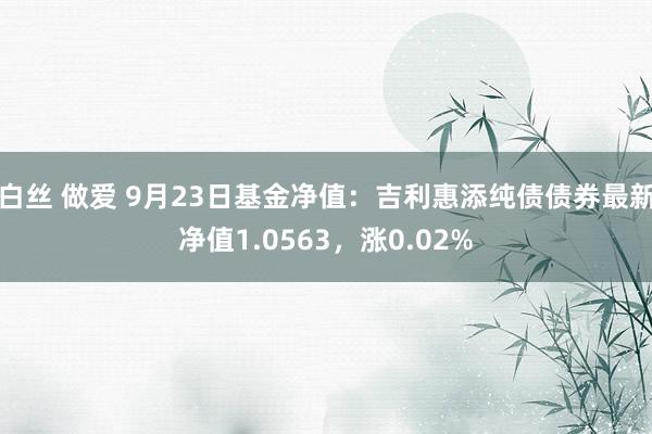 白丝 做爱 9月23日基金净值：吉利惠添纯债债券最新净值1.0563，涨0.02%