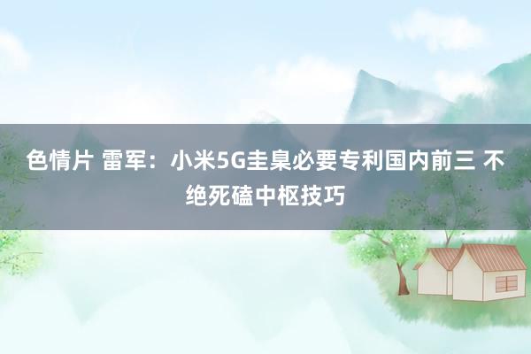 色情片 雷军：小米5G圭臬必要专利国内前三 不绝死磕中枢技巧