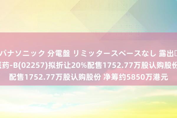 パナソニック 分電盤 リミッタースペースなし 露出・半埋込両用形 圣诺医药-B(02257)拟折让20%配售1752.77万股认购股份 净筹约5850万港元