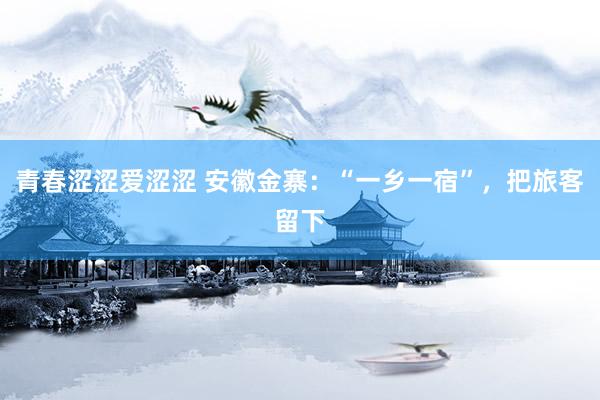 青春涩涩爱涩涩 安徽金寨：“一乡一宿”，把旅客留下