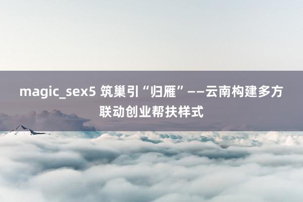 magic_sex5 筑巢引“归雁”——云南构建多方联动创业帮扶样式