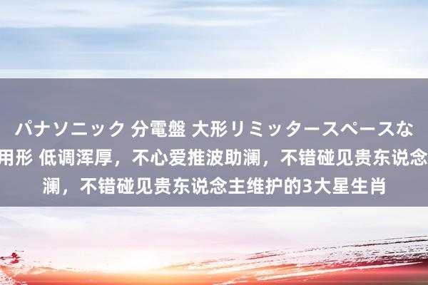 パナソニック 分電盤 大形リミッタースペースなし 露出・半埋込両用形 低调浑厚，不心爱推波助澜，不错碰见贵东说念主维护的3大星生肖