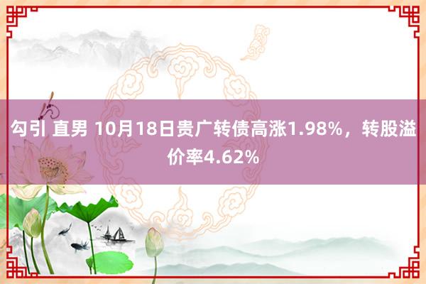 勾引 直男 10月18日贵广转债高涨1.98%，转股溢价率4.62%