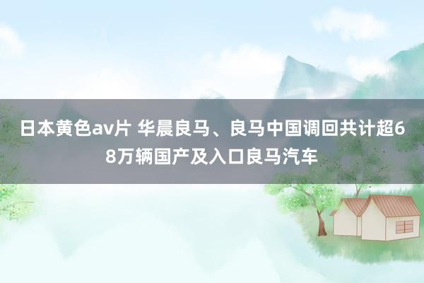 日本黄色av片 华晨良马、良马中国调回共计超68万辆国产及入口良马汽车