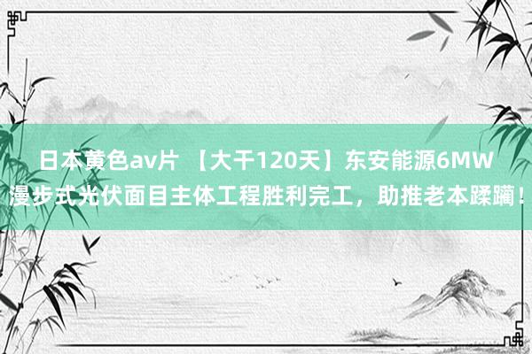 日本黄色av片 【大干120天】东安能源6MW漫步式光伏面目主体工程胜利完工，助推老本蹂躏！