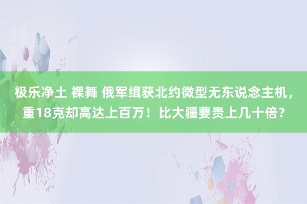 极乐净土 裸舞 俄军缉获北约微型无东说念主机，重18克却高达上百万！比大疆要贵上几十倍？