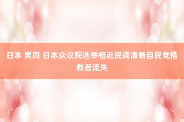 日本 男同 日本众议院选举相近　民调清晰自民党搭救者流失