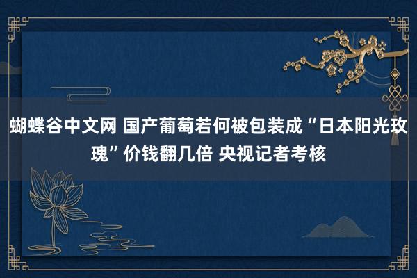 蝴蝶谷中文网 国产葡萄若何被包装成“日本阳光玫瑰”价钱翻几倍 央视记者考核