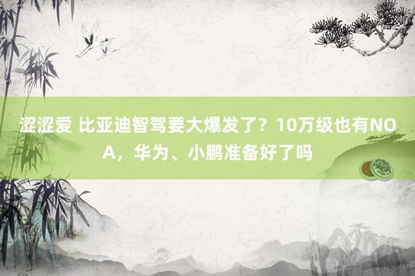 涩涩爱 比亚迪智驾要大爆发了？10万级也有NOA，华为、小鹏准备好了吗