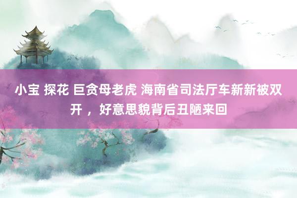 小宝 探花 巨贪母老虎 海南省司法厅车新新被双开 ，好意思貌背后丑陋来回