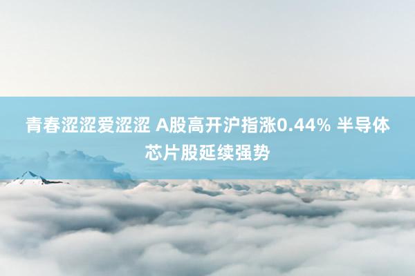 青春涩涩爱涩涩 A股高开沪指涨0.44% 半导体芯片股延续强势