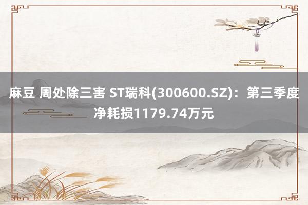 麻豆 周处除三害 ST瑞科(300600.SZ)：第三季度净耗损1179.74万元