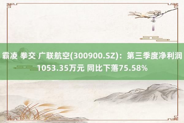 霸凌 拳交 广联航空(300900.SZ)：第三季度净利润1053.35万元 同比下落75.58%