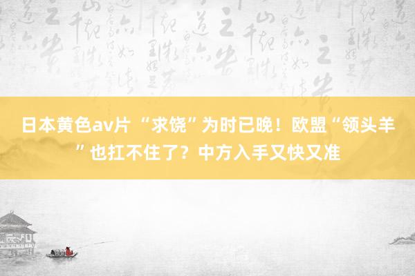 日本黄色av片 “求饶”为时已晚！欧盟“领头羊”也扛不住了？中方入手又快又准