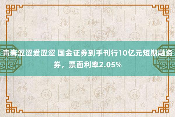 青春涩涩爱涩涩 国金证券到手刊行10亿元短期融资券，票面利率2.05%