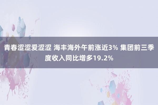 青春涩涩爱涩涩 海丰海外午前涨近3% 集团前三季度收入同比增多19.2%