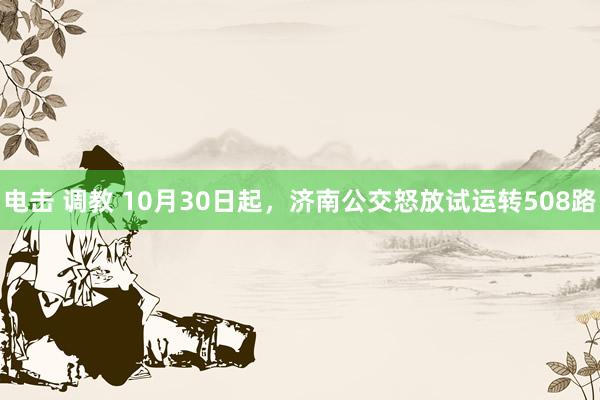 电击 调教 10月30日起，济南公交怒放试运转508路