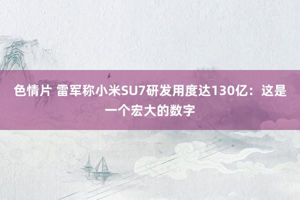 色情片 雷军称小米SU7研发用度达130亿：这是一个宏大的数字