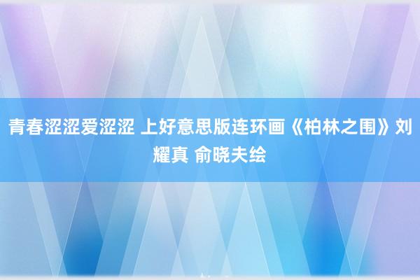 青春涩涩爱涩涩 上好意思版连环画《柏林之围》刘耀真 俞晓夫绘