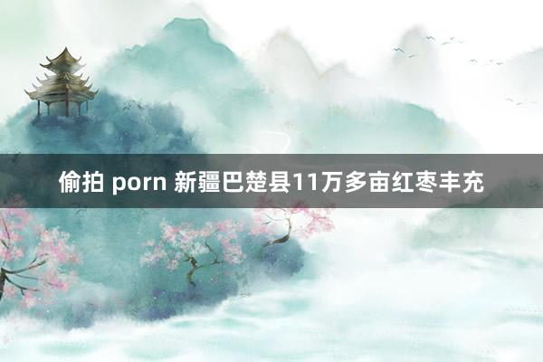 偷拍 porn 新疆巴楚县11万多亩红枣丰充