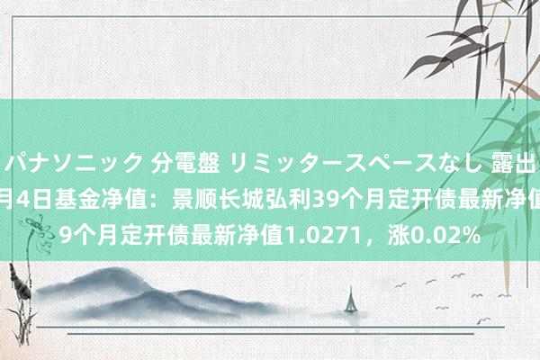 パナソニック 分電盤 リミッタースペースなし 露出・半埋込両用形 11月4日基金净值：景顺长城弘利39个月定开债最新净值1.0271，涨0.02%