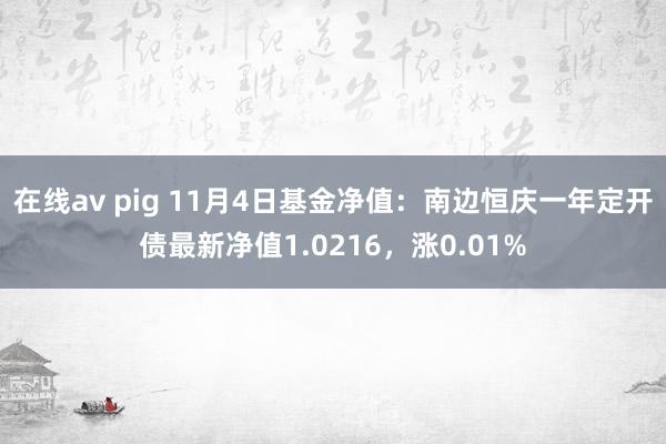 在线av pig 11月4日基金净值：南边恒庆一年定开债最新净值1.0216，涨0.01%