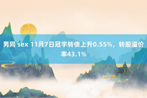 男同 sex 11月7日冠宇转债上升0.55%，转股溢价率43.1%