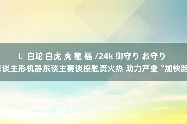 ✨白蛇 白虎 虎 龍 福 /24k 御守り お守り 东谈主形机器东谈主赛谈投融资火热 助力产业“加快跑”