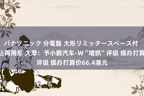 パナソニック 分電盤 大形リミッタースペース付 露出・半埋込両用形 大摩：予小鹏汽车-W“增抓”评级 操办打算价66.4港元