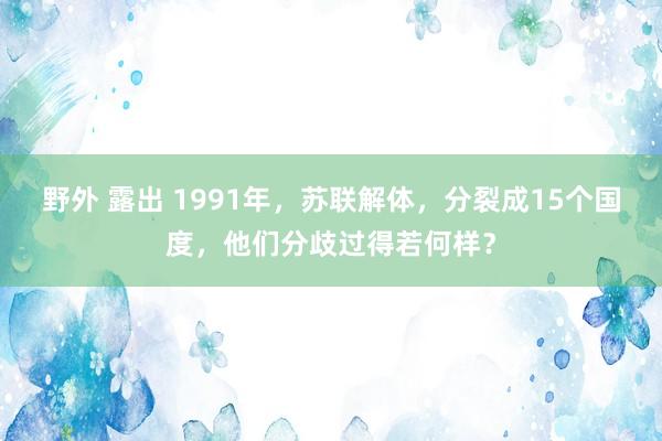 野外 露出 1991年，苏联解体，分裂成15个国度，他们分歧过得若何样？