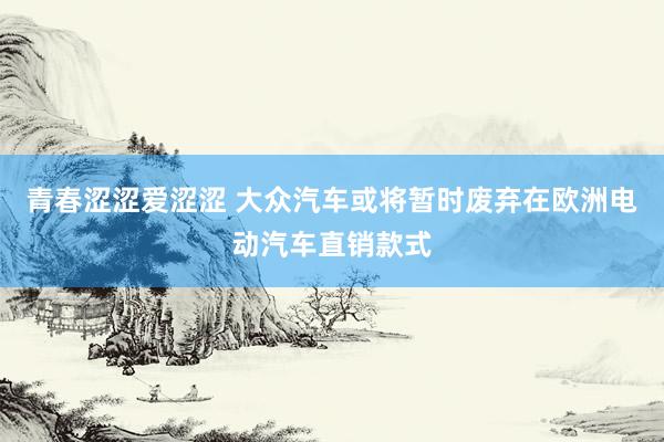 青春涩涩爱涩涩 大众汽车或将暂时废弃在欧洲电动汽车直销款式