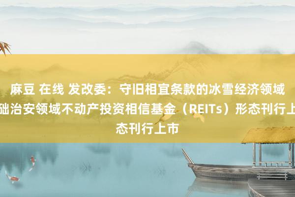 麻豆 在线 发改委：守旧相宜条款的冰雪经济领域基础治安领域不动产投资相信基金（REITs）形态刊行上市