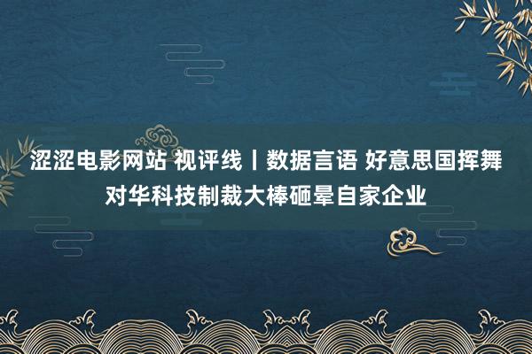 涩涩电影网站 视评线丨数据言语 好意思国挥舞对华科技制裁大棒砸晕自家企业