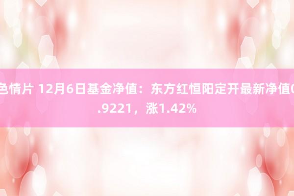 色情片 12月6日基金净值：东方红恒阳定开最新净值0.9221，涨1.42%