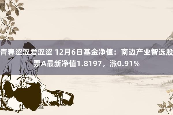 青春涩涩爱涩涩 12月6日基金净值：南边产业智选股票A最新净值1.8197，涨0.91%