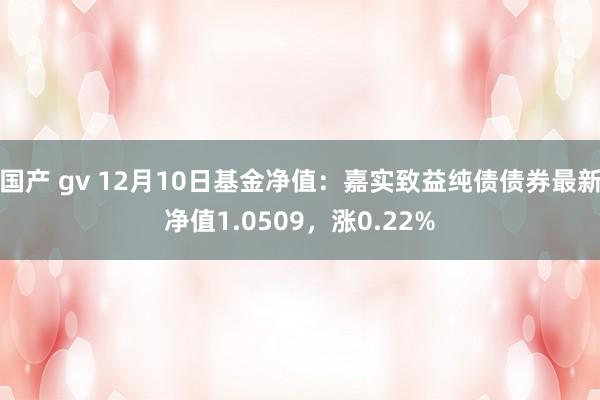 国产 gv 12月10日基金净值：嘉实致益纯债债券最新净值1.0509，涨0.22%