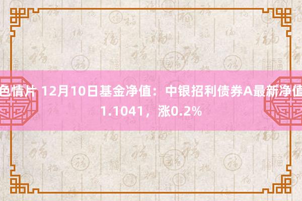 色情片 12月10日基金净值：中银招利债券A最新净值1.1041，涨0.2%