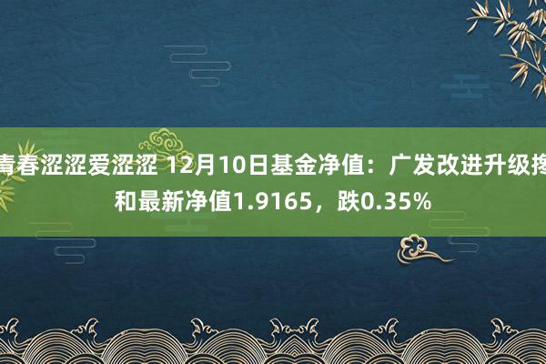 青春涩涩爱涩涩 12月10日基金净值：广发改进升级搀和最新净值1.9165，跌0.35%